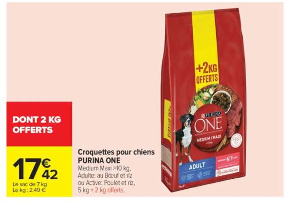 Croquettes pour chiens PURINA ONE