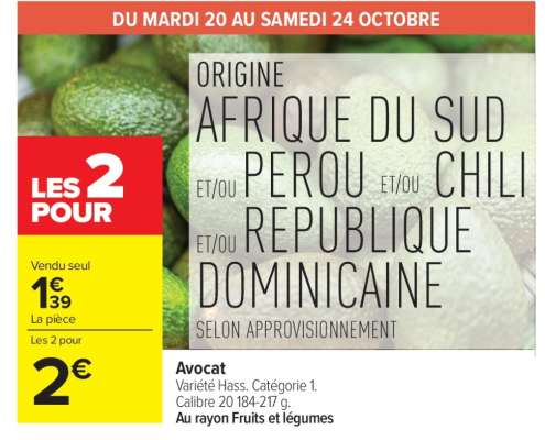 Avocat