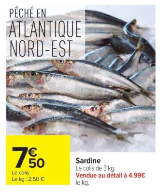 SARDINE
