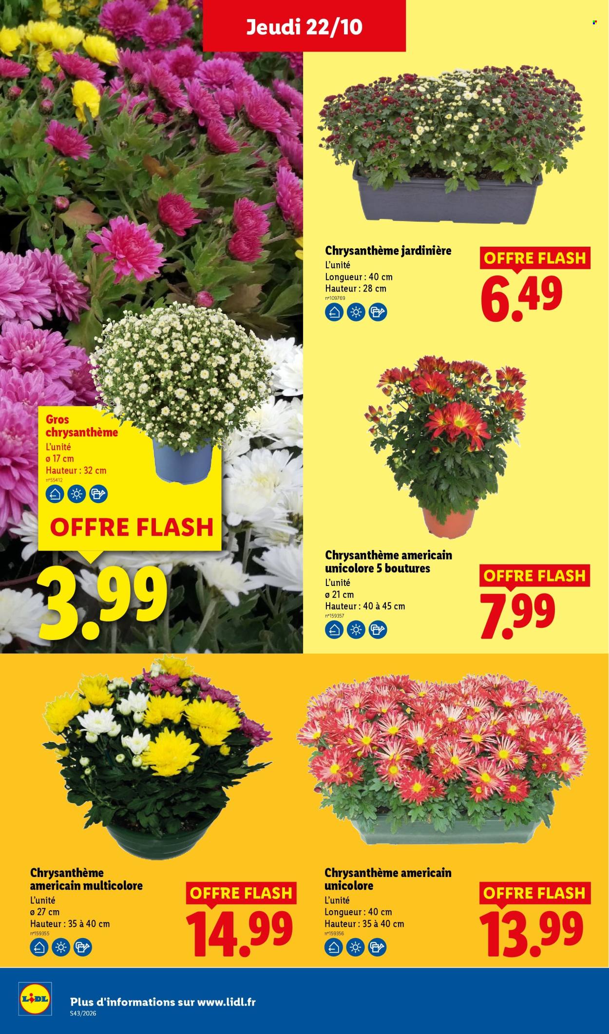 Catalogue Lidl - 22/10/2026 - 28/10/2026. Page 33