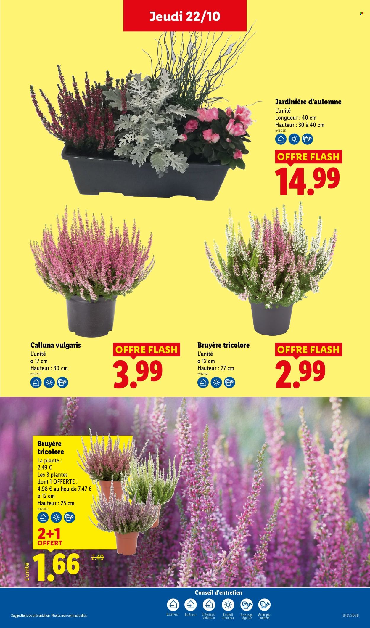 Catalogue Lidl - 22/10/2026 - 28/10/2026. Page 34