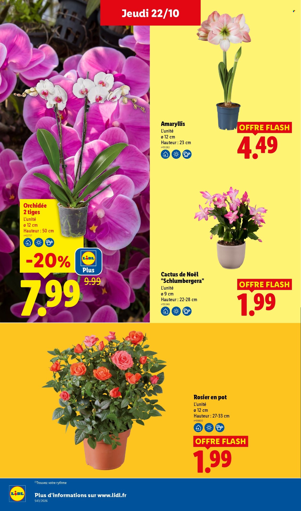 Catalogue Lidl - 22/10/2026 - 28/10/2026. Page 35