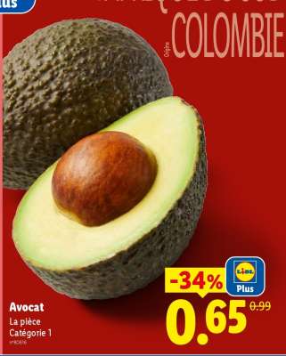 Avocat