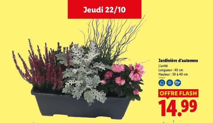 Jardinière d'automne