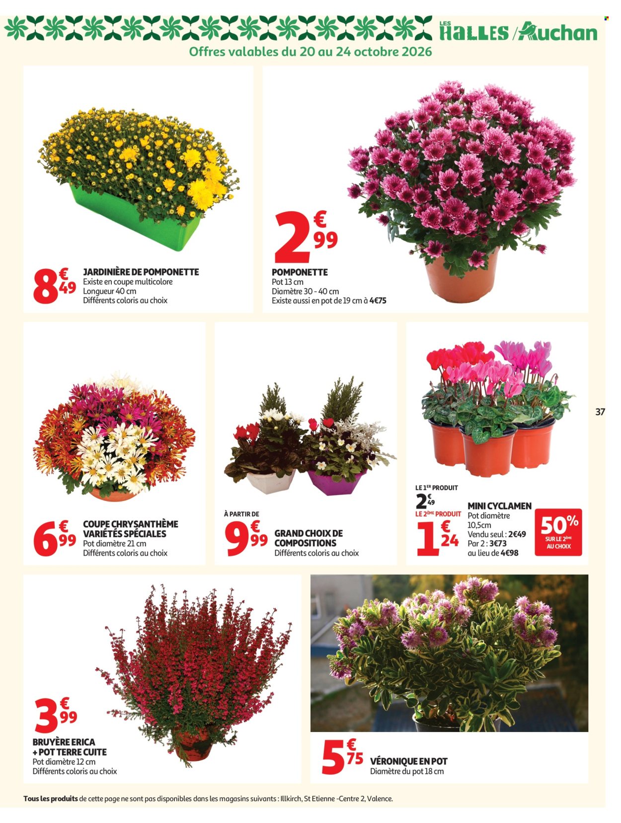 Catalogue Auchan - 20/10/2026 - 25/10/2026. Page 37