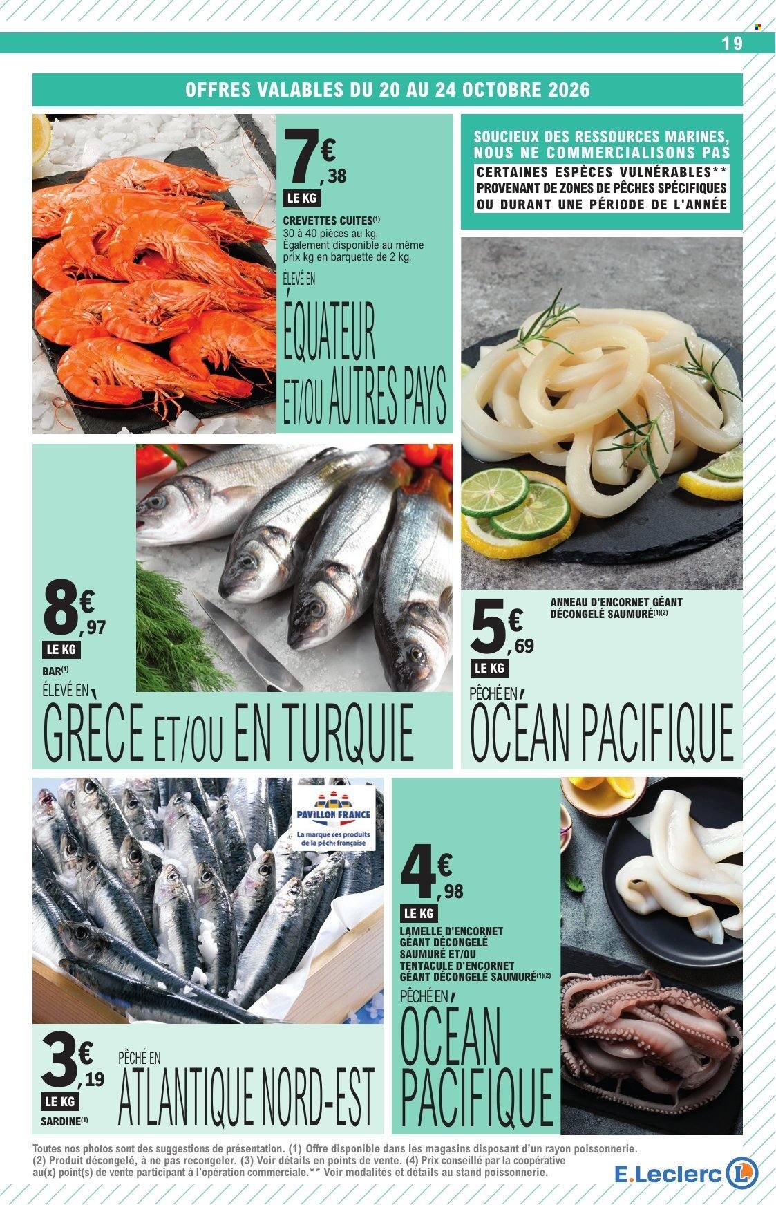 Catalogue E.Leclerc - 20/10/2026 - 31/10/2026. Page 19