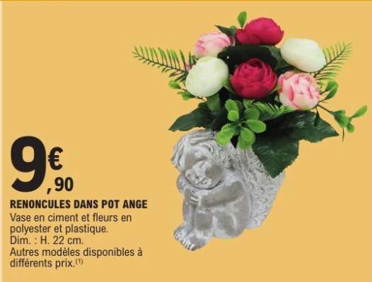 RENONCULES DANS POT ANGE