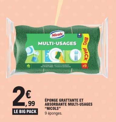 ÉPONGE GRATTANTE ET ABSORBANTE MULTI-USAGES “NICOLS”