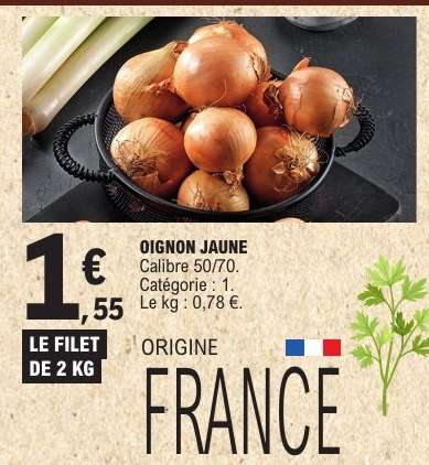 OIGNON JAUNE