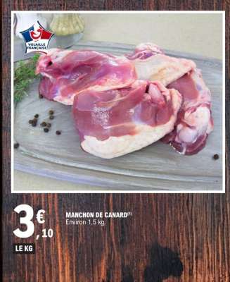MANCHON DE CANARD