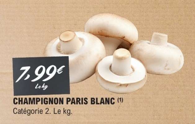 CHAMPIGNON PARIS BLANC