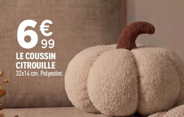LE COUSSIN CITROUILLE