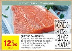 FILET DE SAUMON
