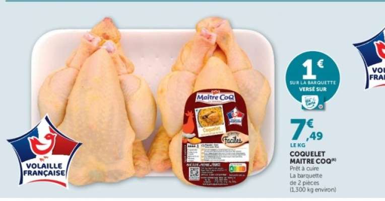 COQUELET MAITRE COQ
