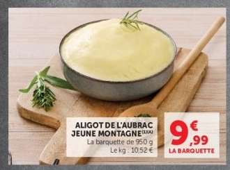 ALIGOT DE L'AUBRAC JEUNE MONTAGNE