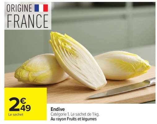 ENDIVE