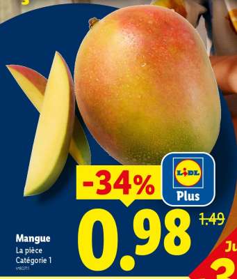 Mangue