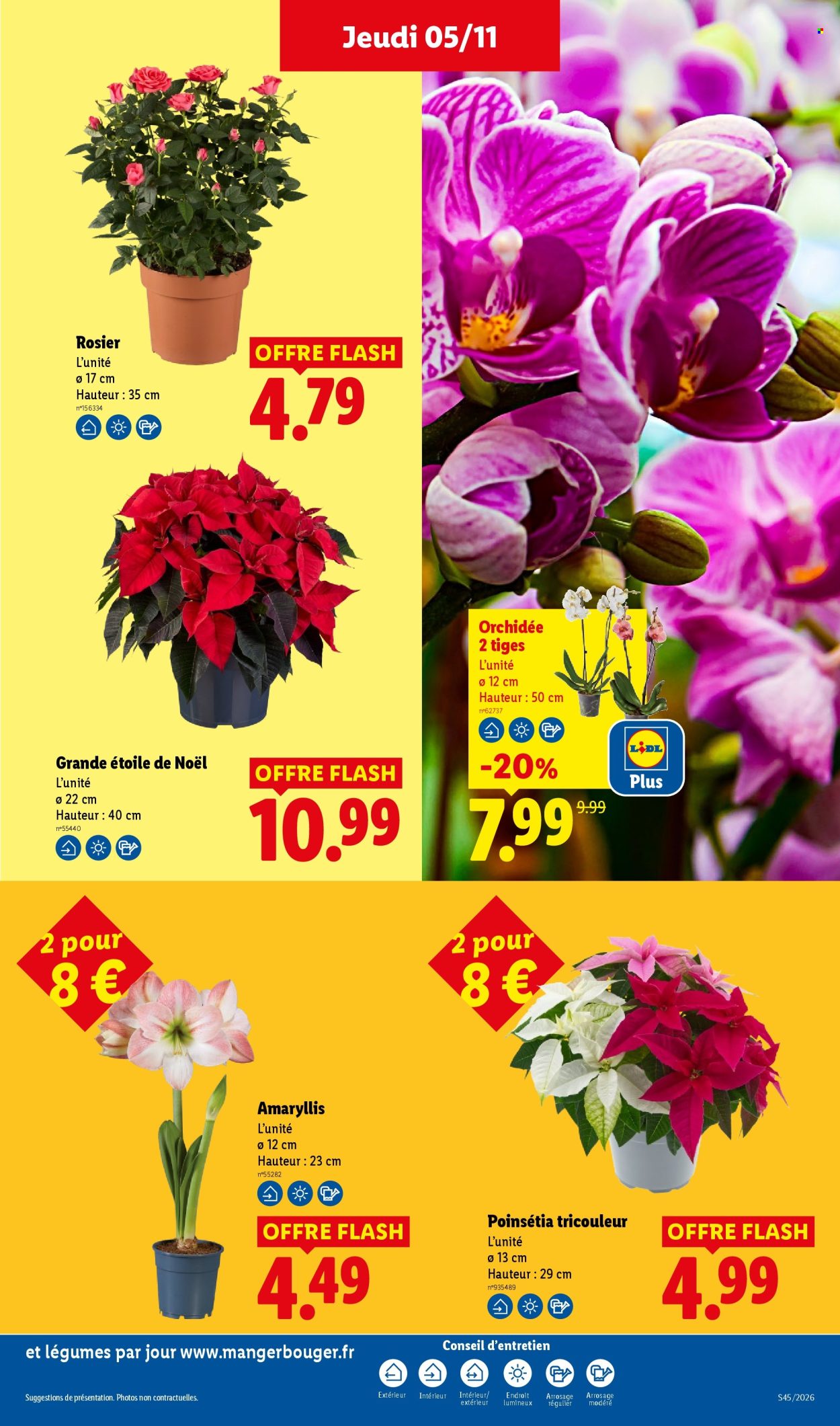 Catalogue Lidl - 05/11/2026 - 11/11/2026. Page 31